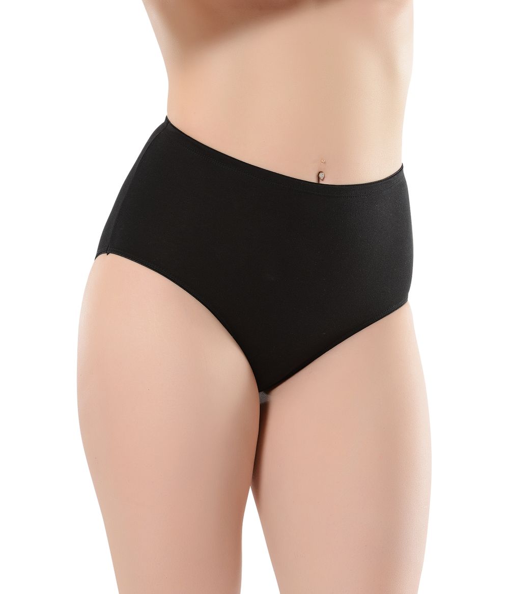 4 Pairs Modal High Waist Brief